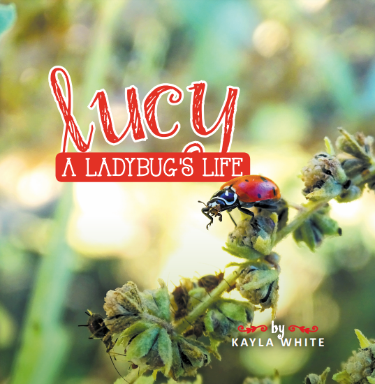 lucy: a ladybug's life book cover image.